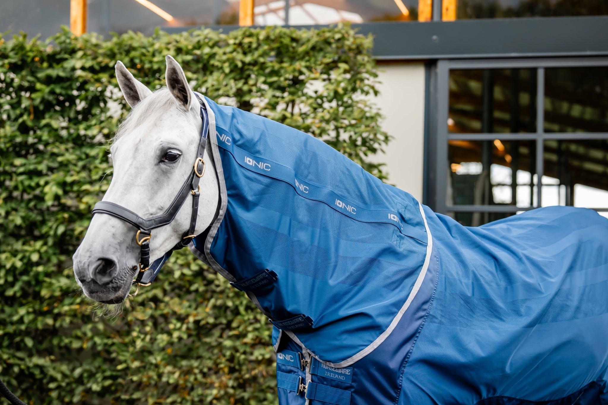 Horseware Ionic Therapy Mesh Cooler Hood