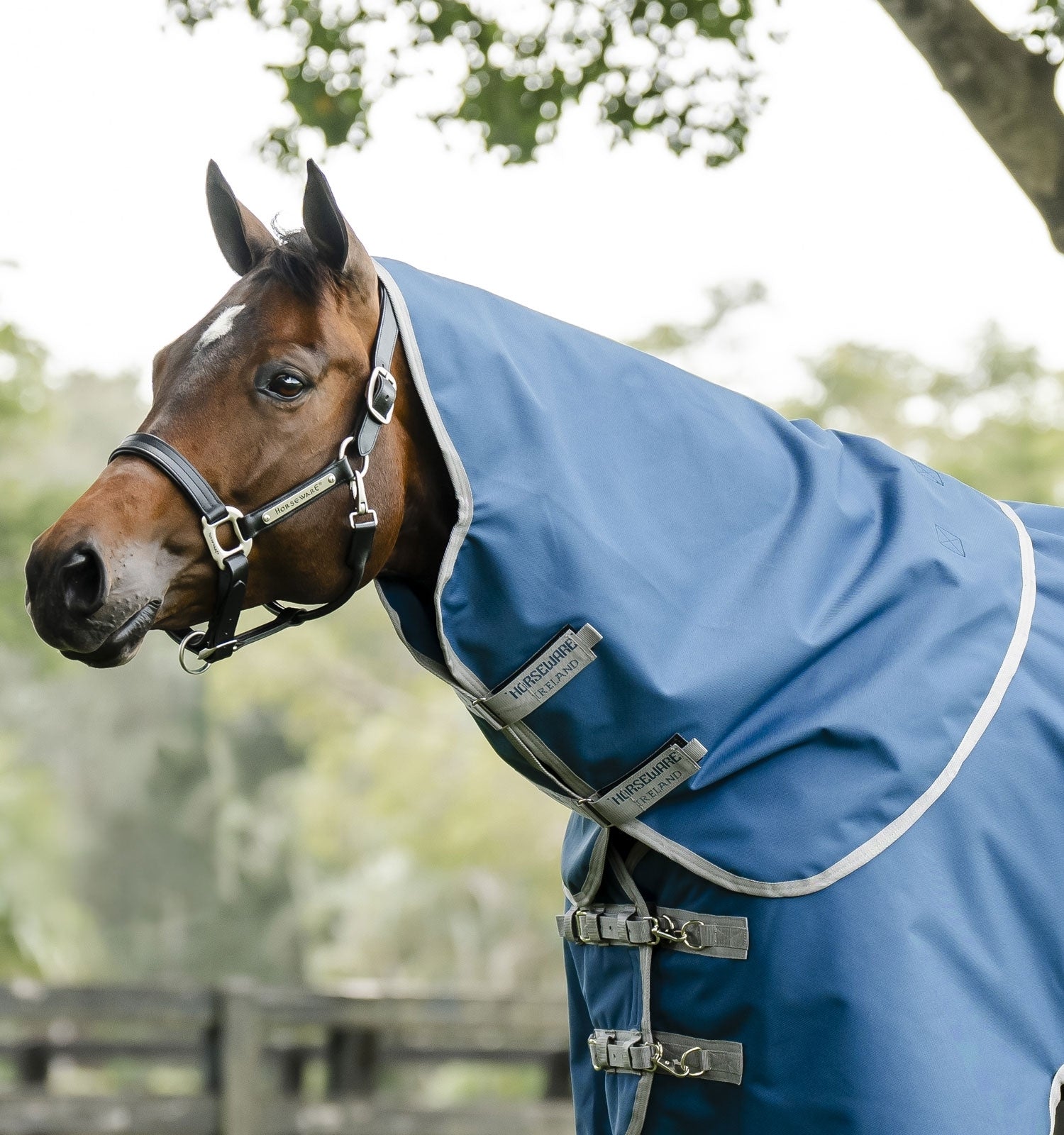 Horseware Ionic Therapy Quarter Horse Turnout Hood 0g