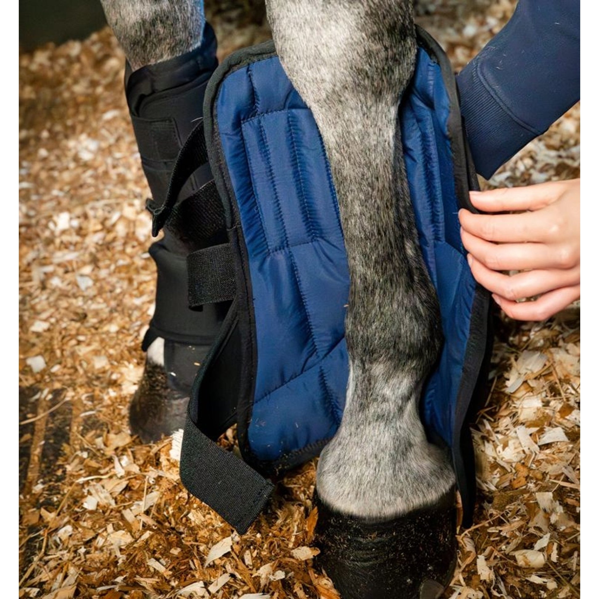 Horseware Stable Boot Ionic Liner