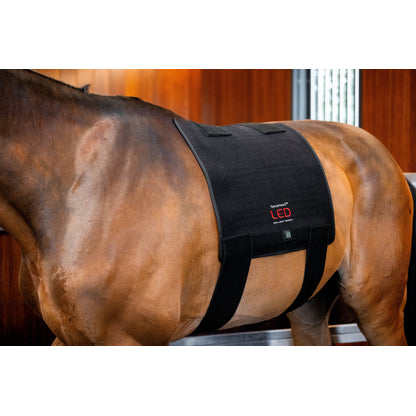 Horseware LED Red Light Therapy Pad