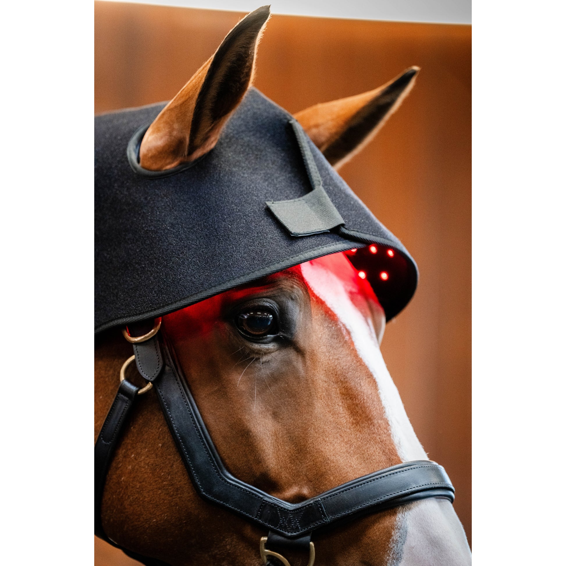 Horseware LED Red Light Therapy Poll Cap
