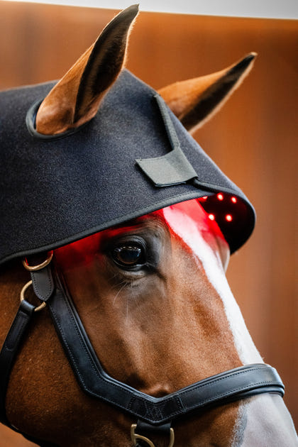 Horseware LED Red Light Therapy Poll Cap