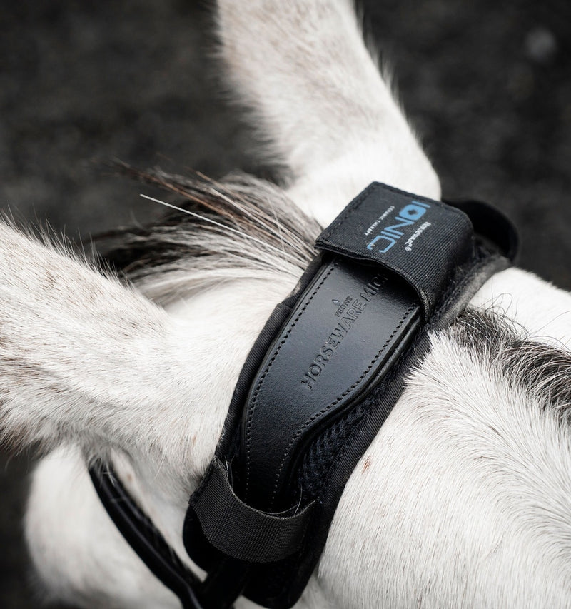 Horseware Ionic Poll Cover