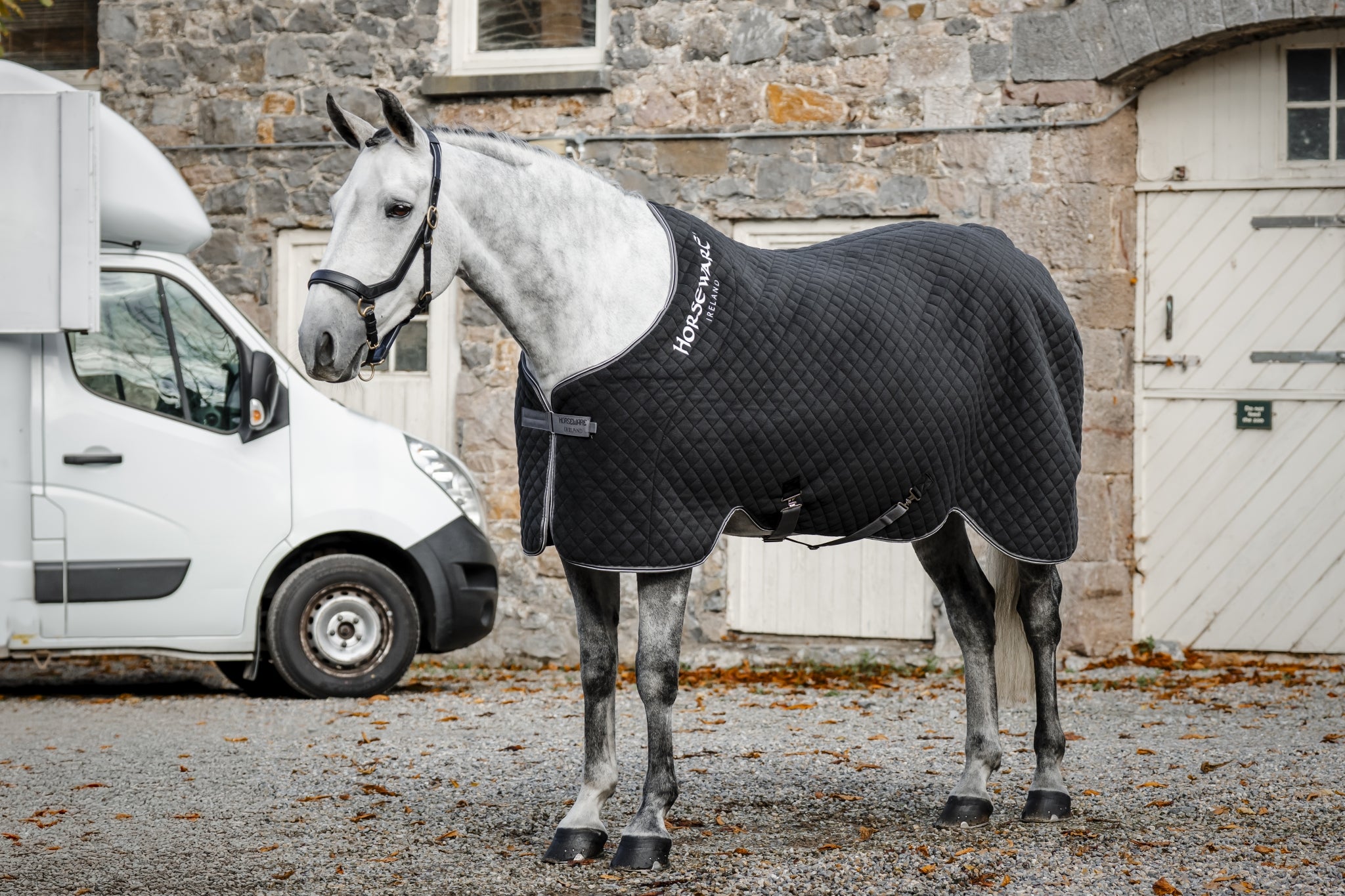 Horseware Thermal Cooler