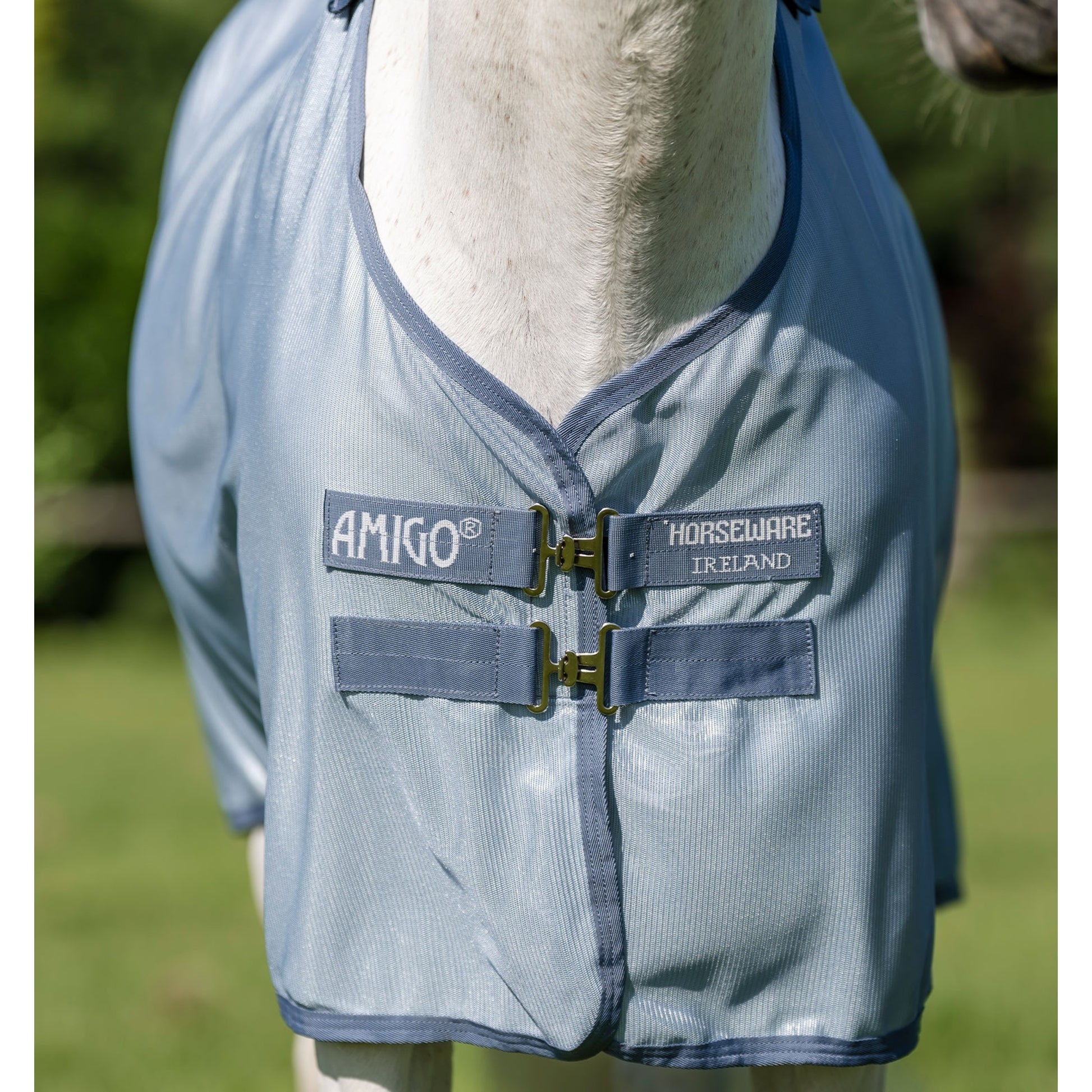 Amigo Bug Rug Plus Pony Fly Sheet