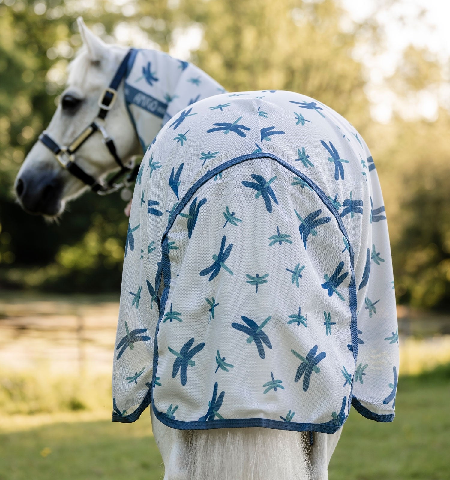 Amigo Bug Rug Plus Pony Fly Sheet