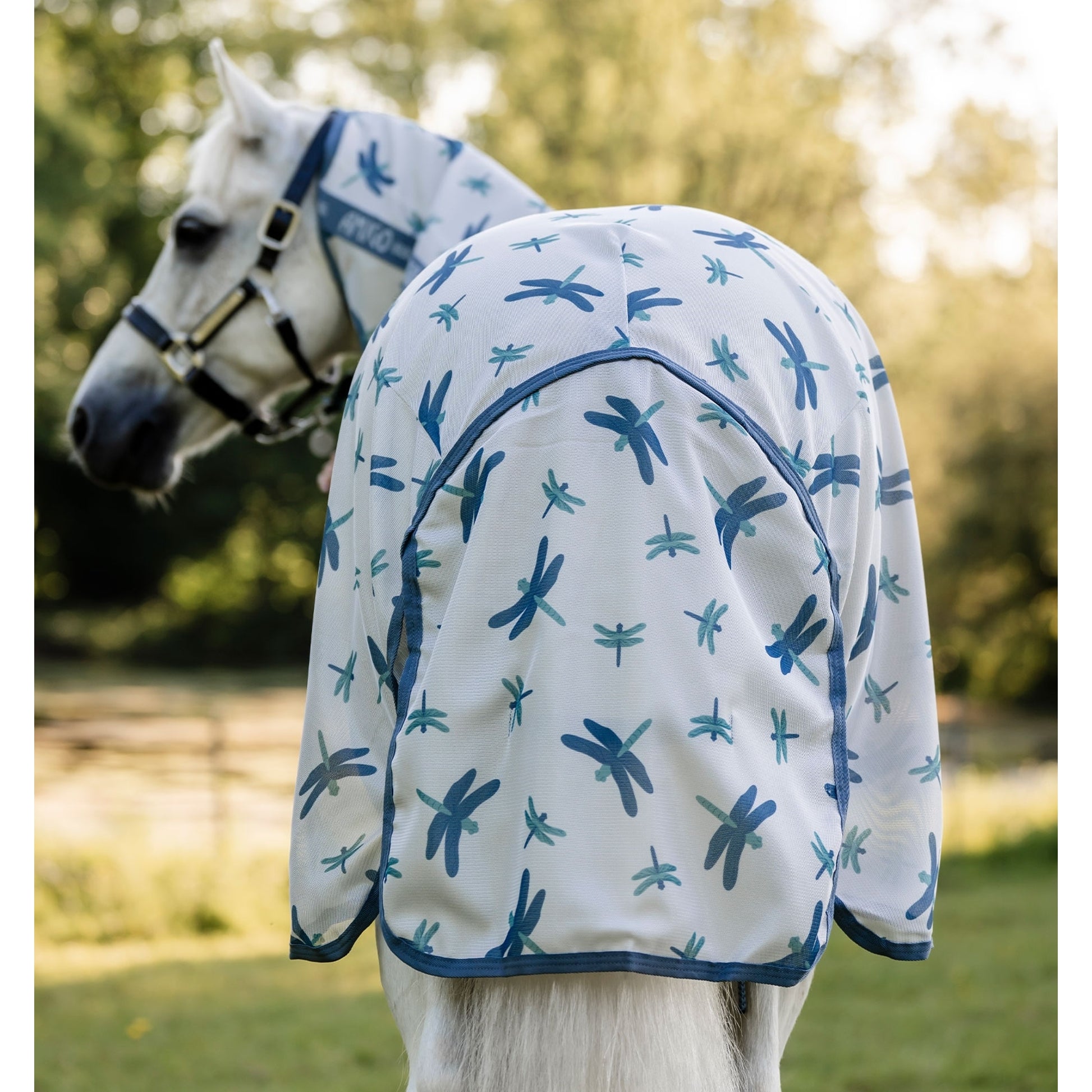 Amigo Bug Rug Plus Pony Fly Sheet