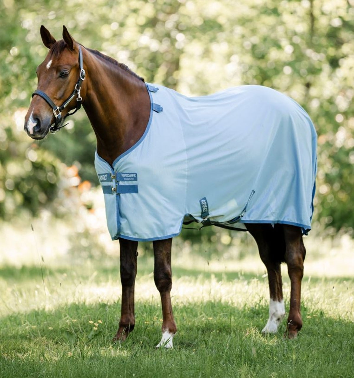 Amigo Bug Rug Fly Sheet