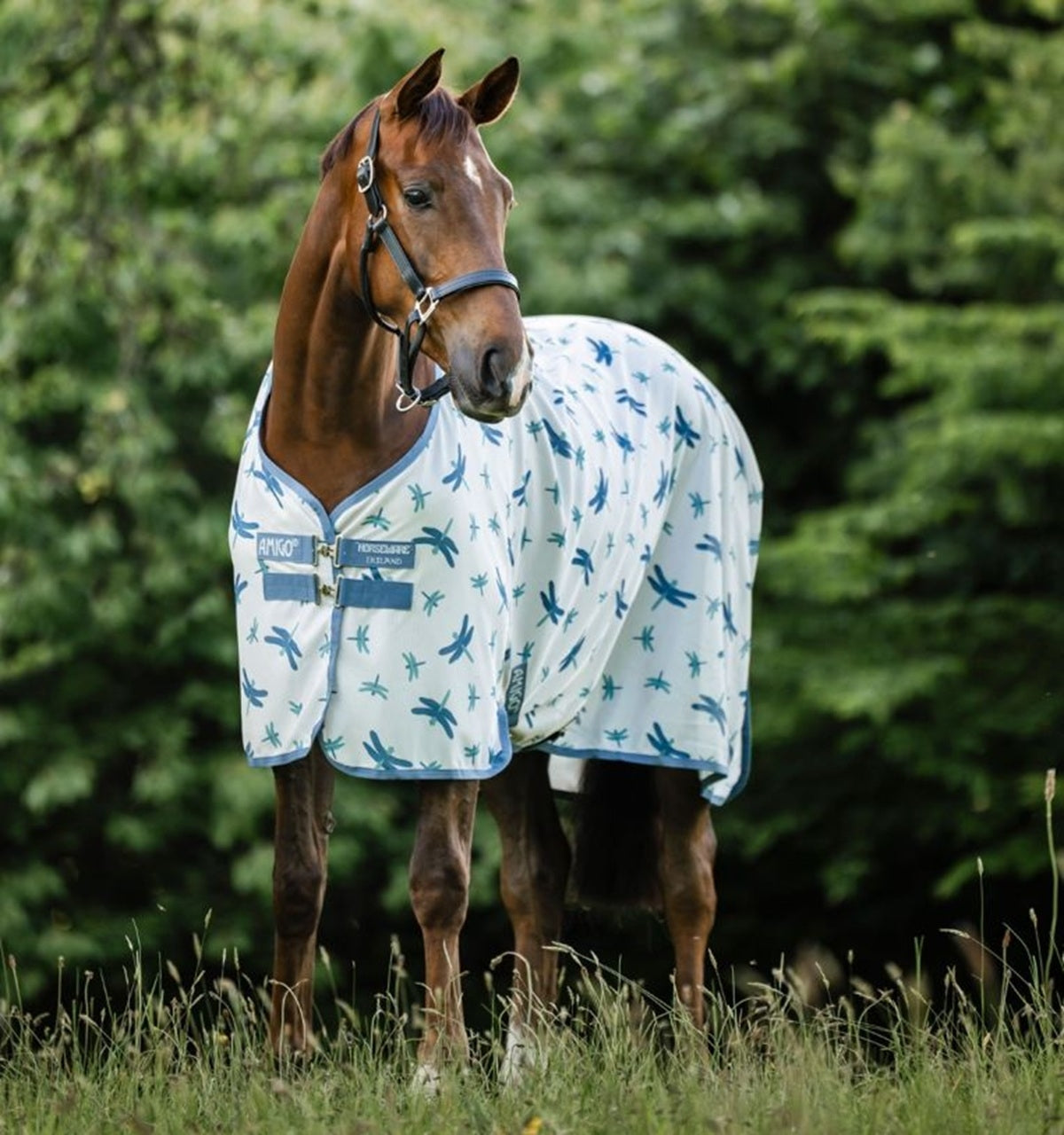 Amigo Bug Rug Fly Sheet