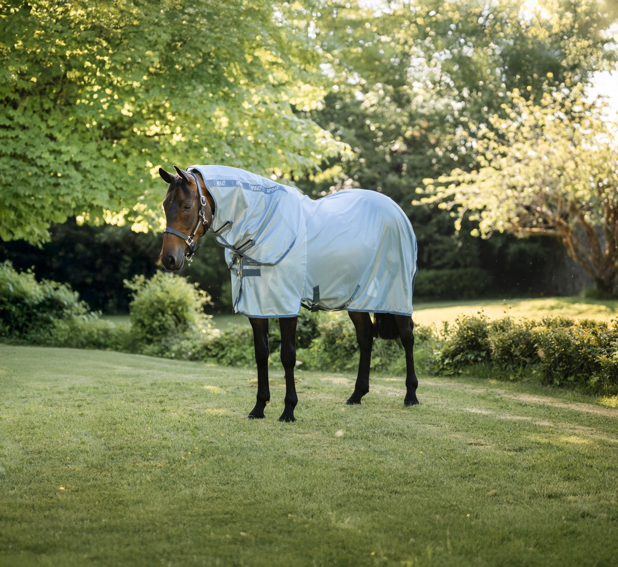 Amigo integrated Fly Sheet