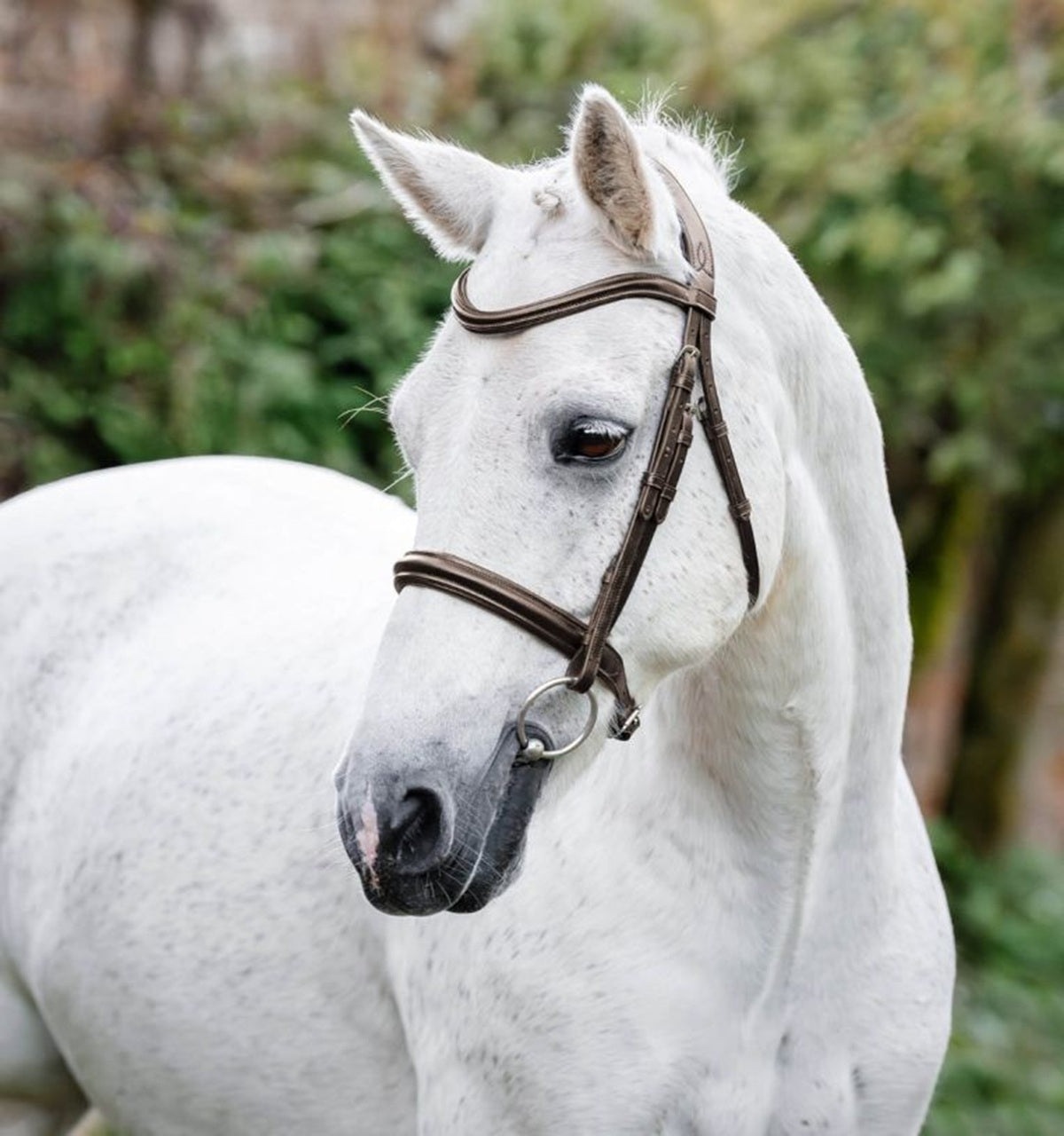 Horseware Pony Cavesson Bridle