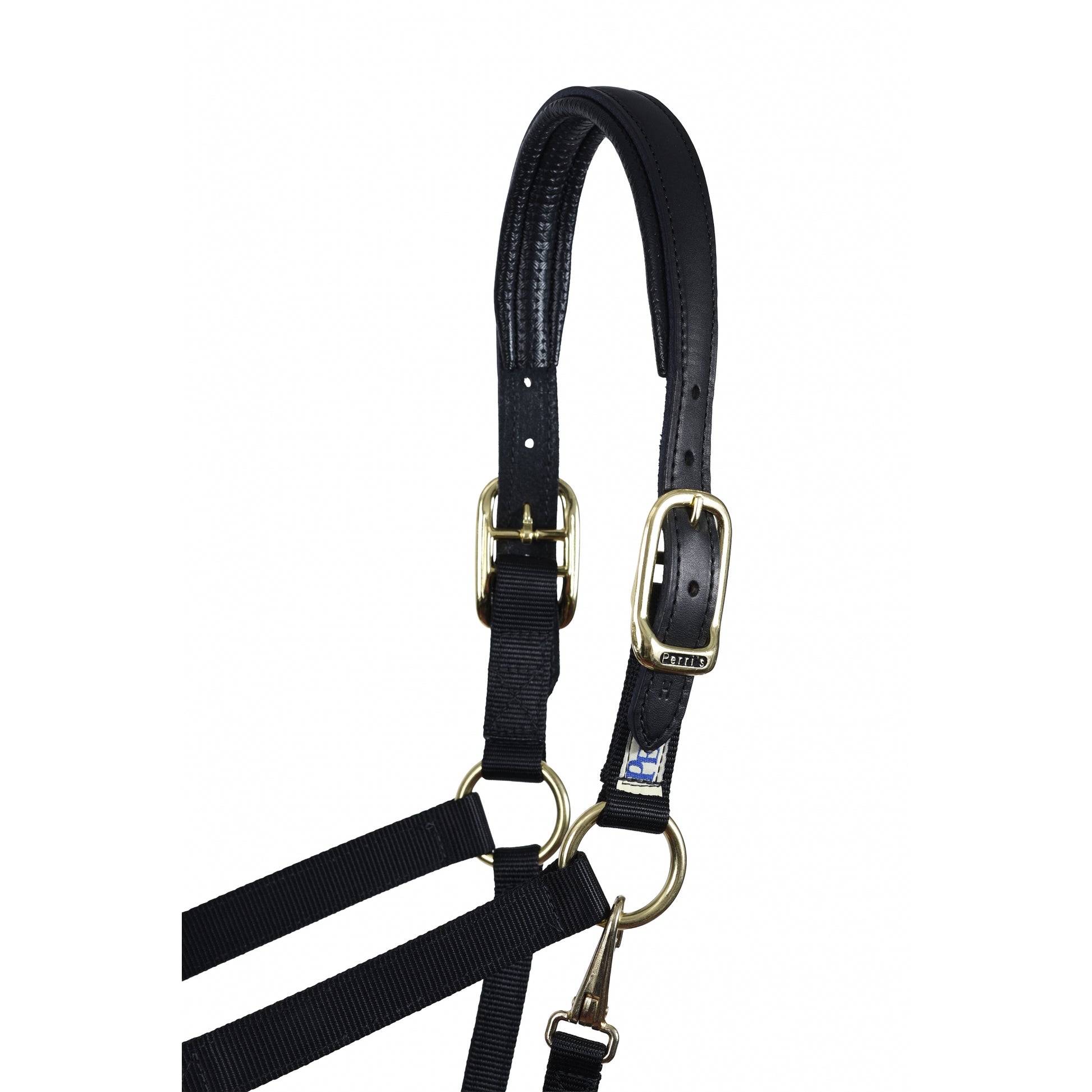 Perri's Neoprene/Nylon Halter