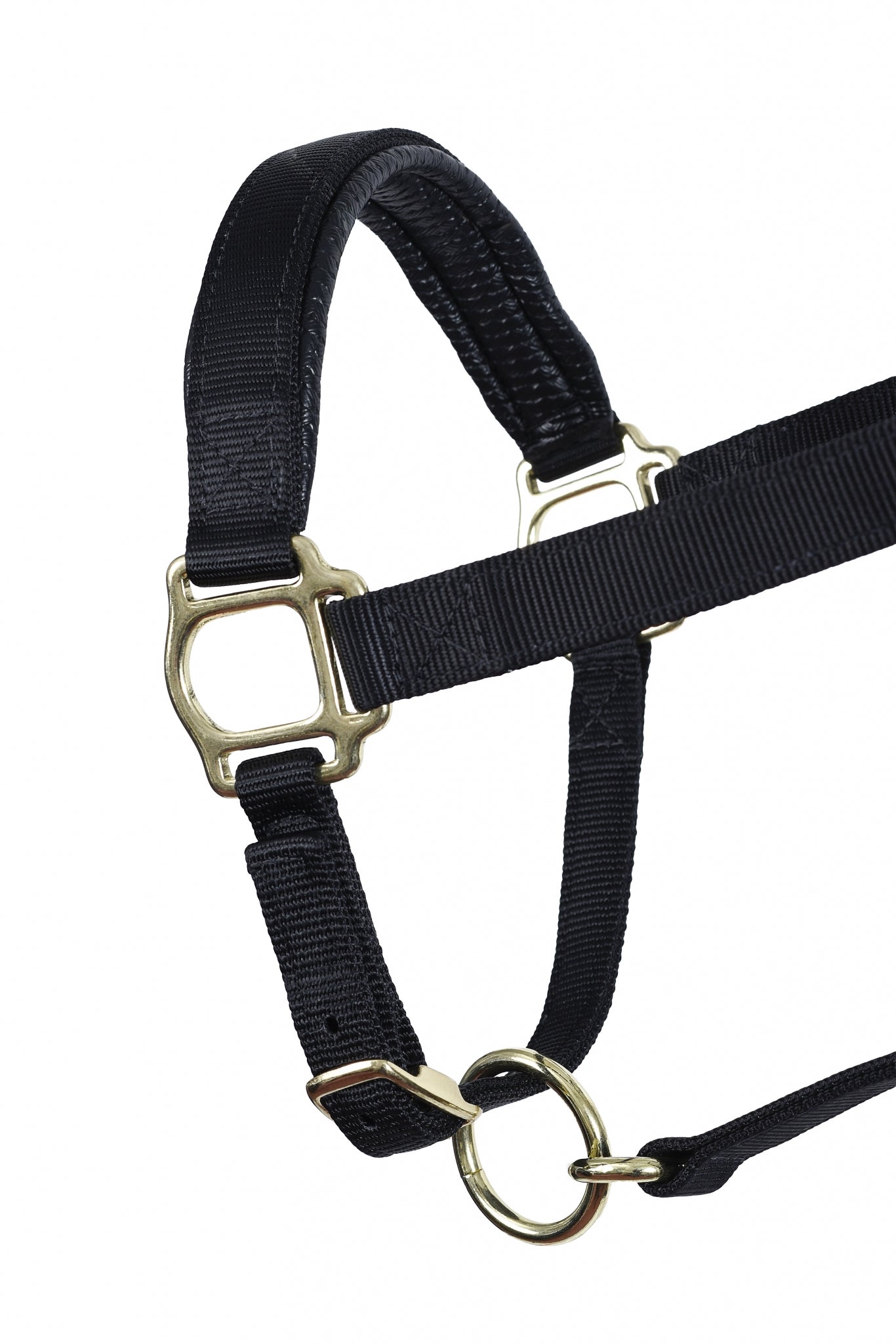 Perri's Neoprene/Nylon Halter