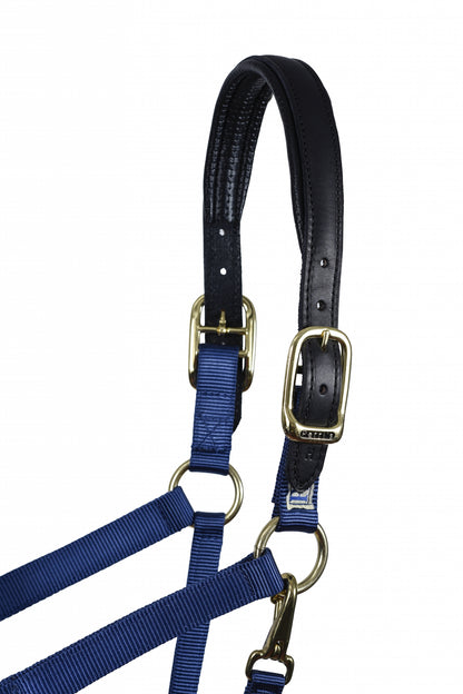 Perri's Neoprene/Nylon Halter