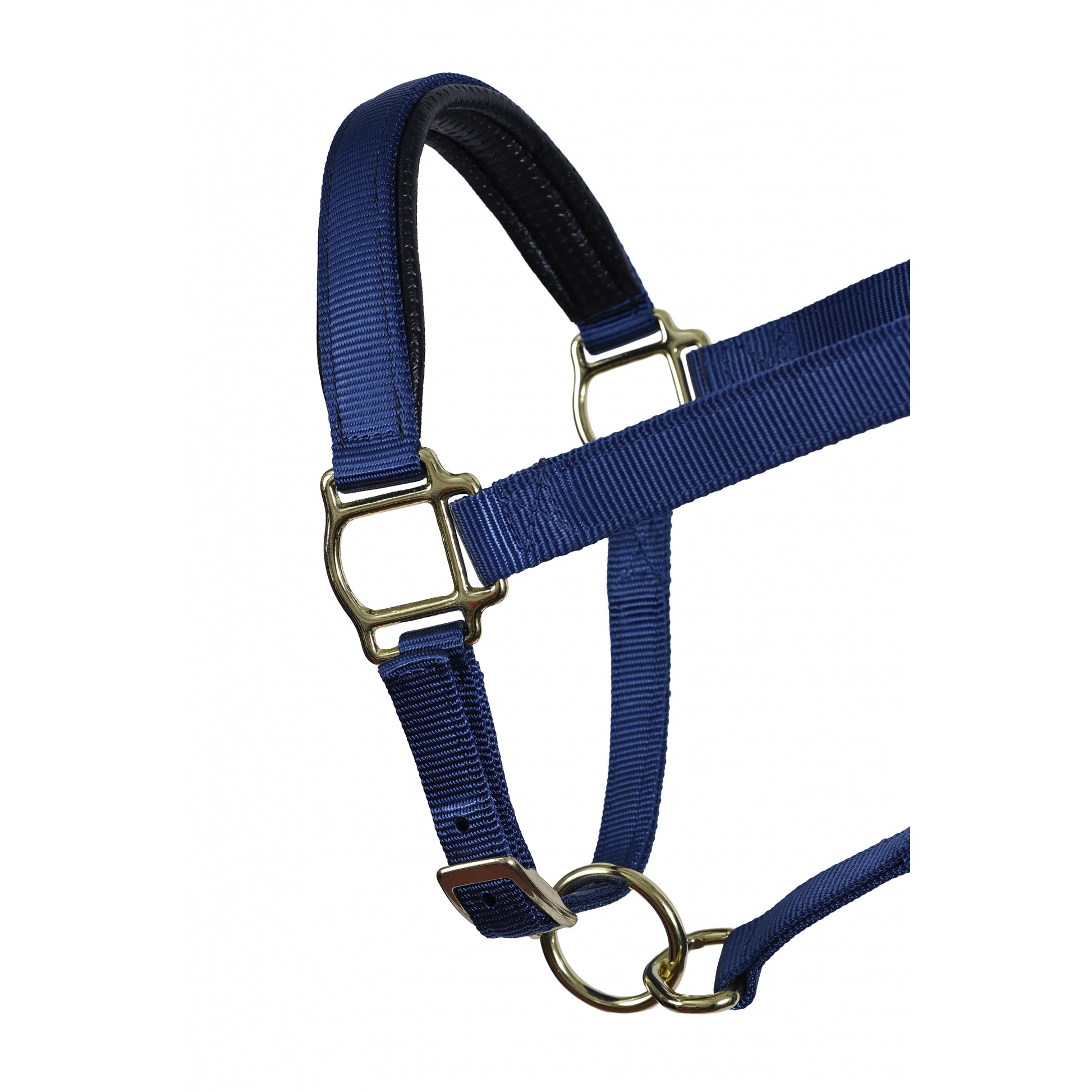 Perri's Neoprene/Nylon Halter