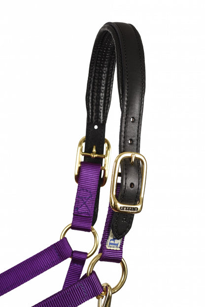 Perri's Neoprene/Nylon Halter