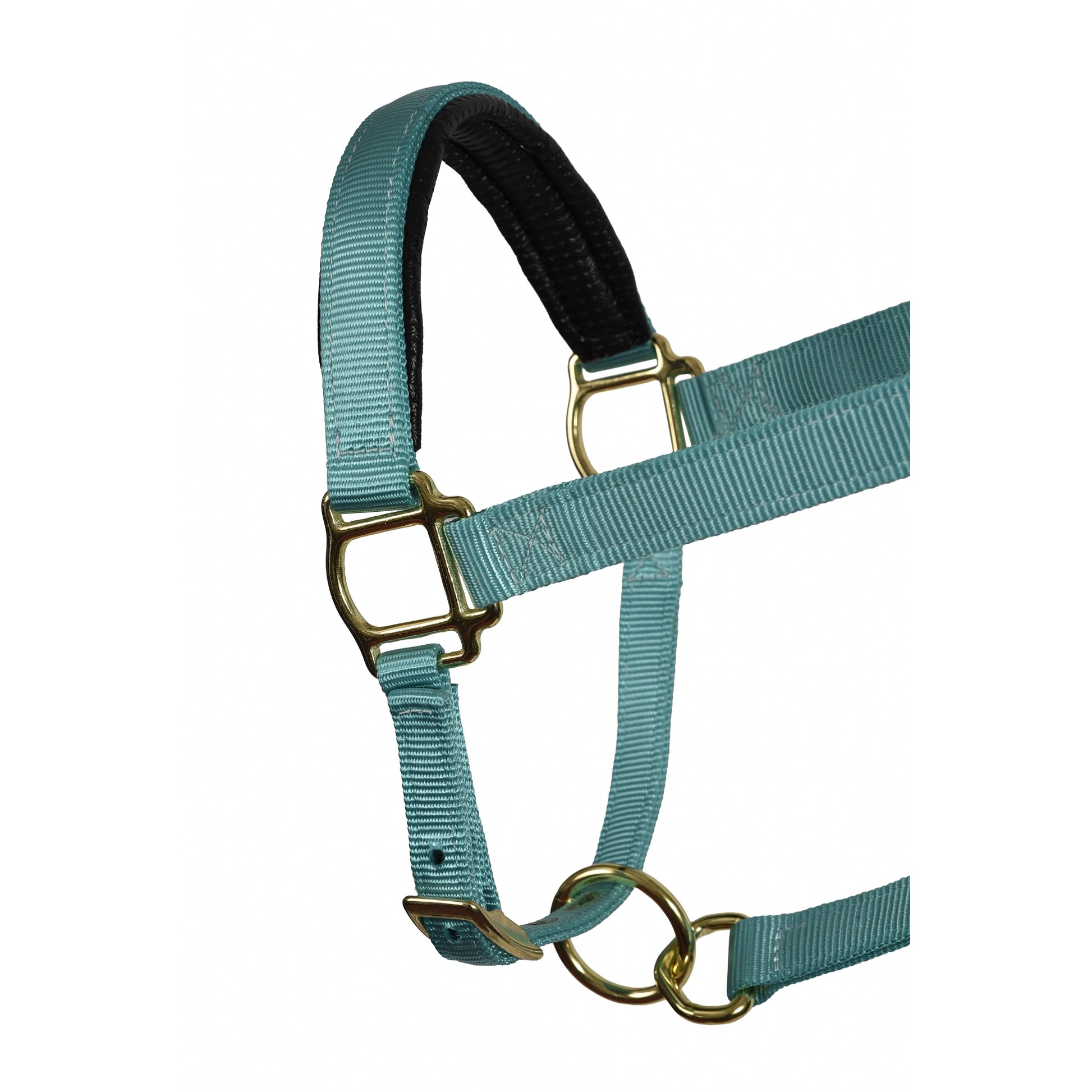 Perri's Neoprene/Nylon Halter