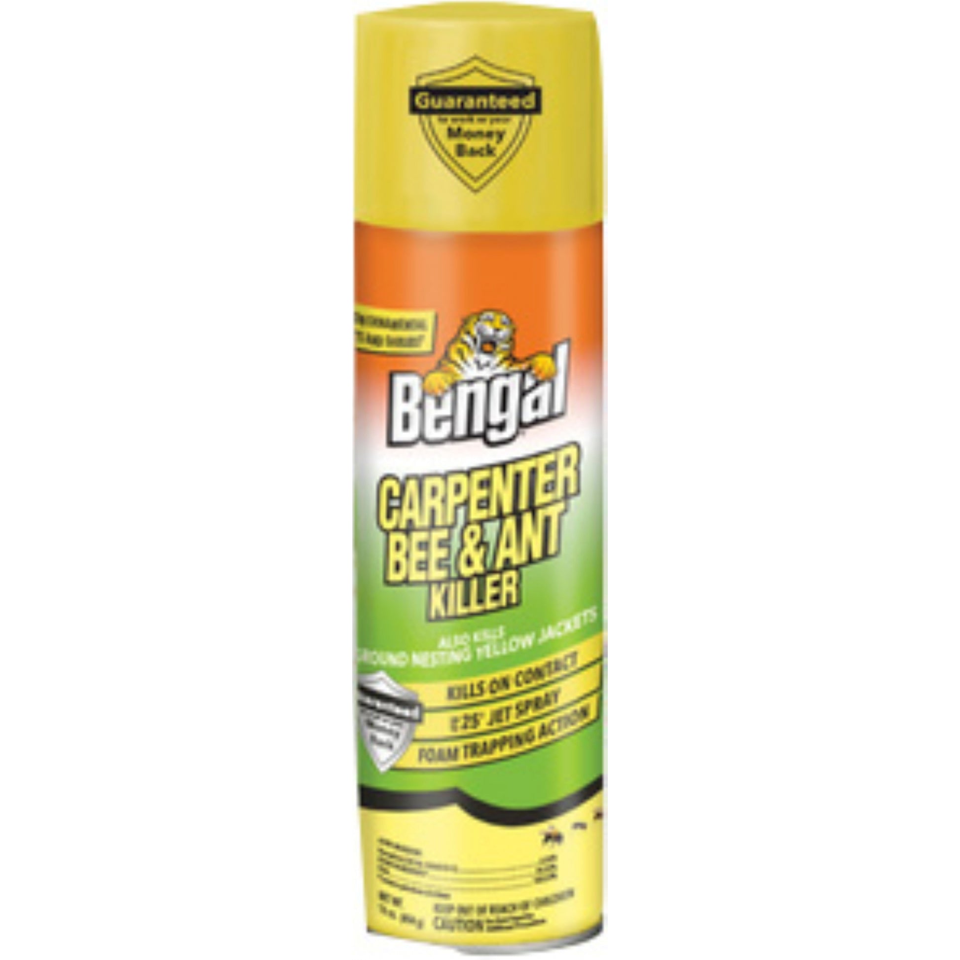 Bengal Carpenter Bee & Ant Killer