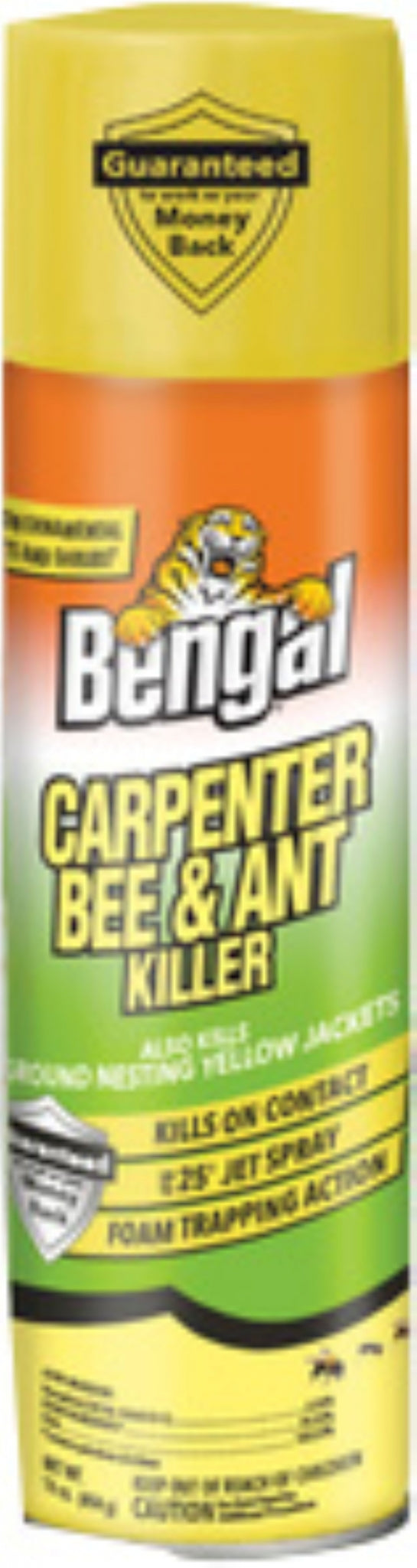 Bengal Carpenter Bee & Ant Killer
