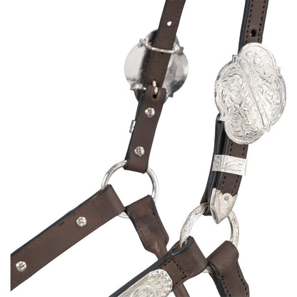 Silver Royal Scroll Show Halter with Berry Edge