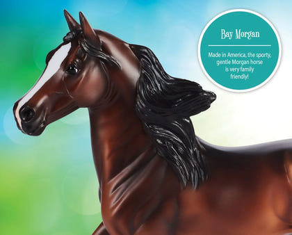 Breyer Bay Morgan