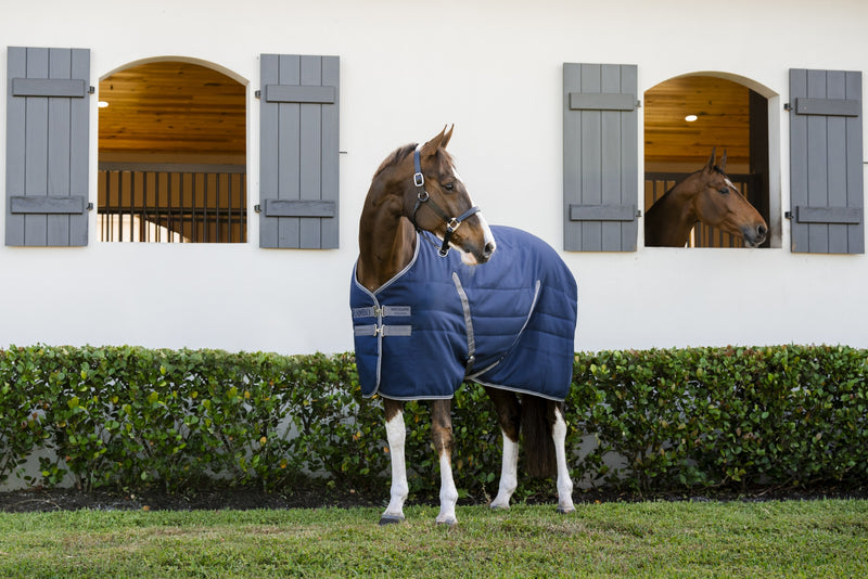 Rambo Stable Blanket (100g Lite)