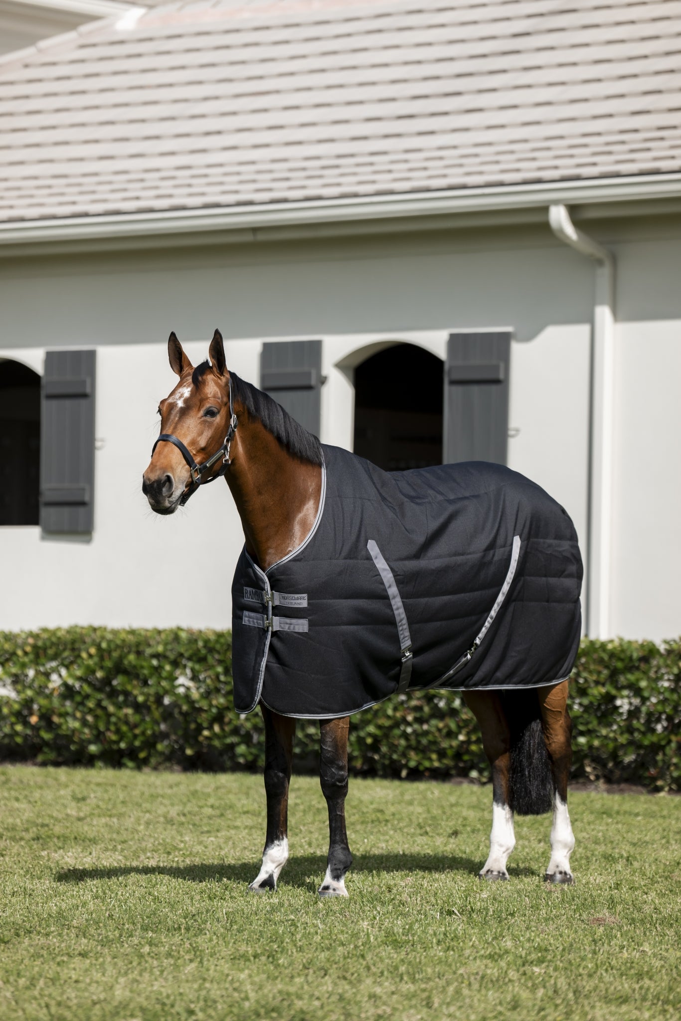 Rambo Stable Blanket (100g Lite)