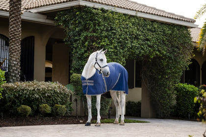 Rambo Stable Sheet with Microfiber Lining (0g Light)