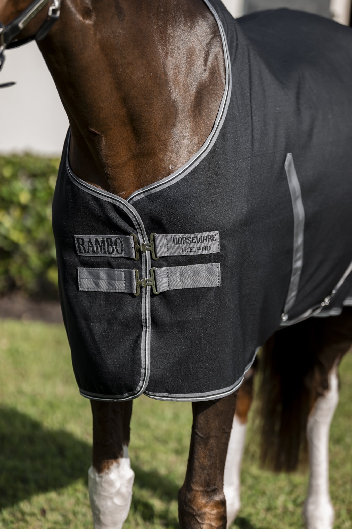 Rambo Stable Sheet with Microfiber Lining (0g Light)