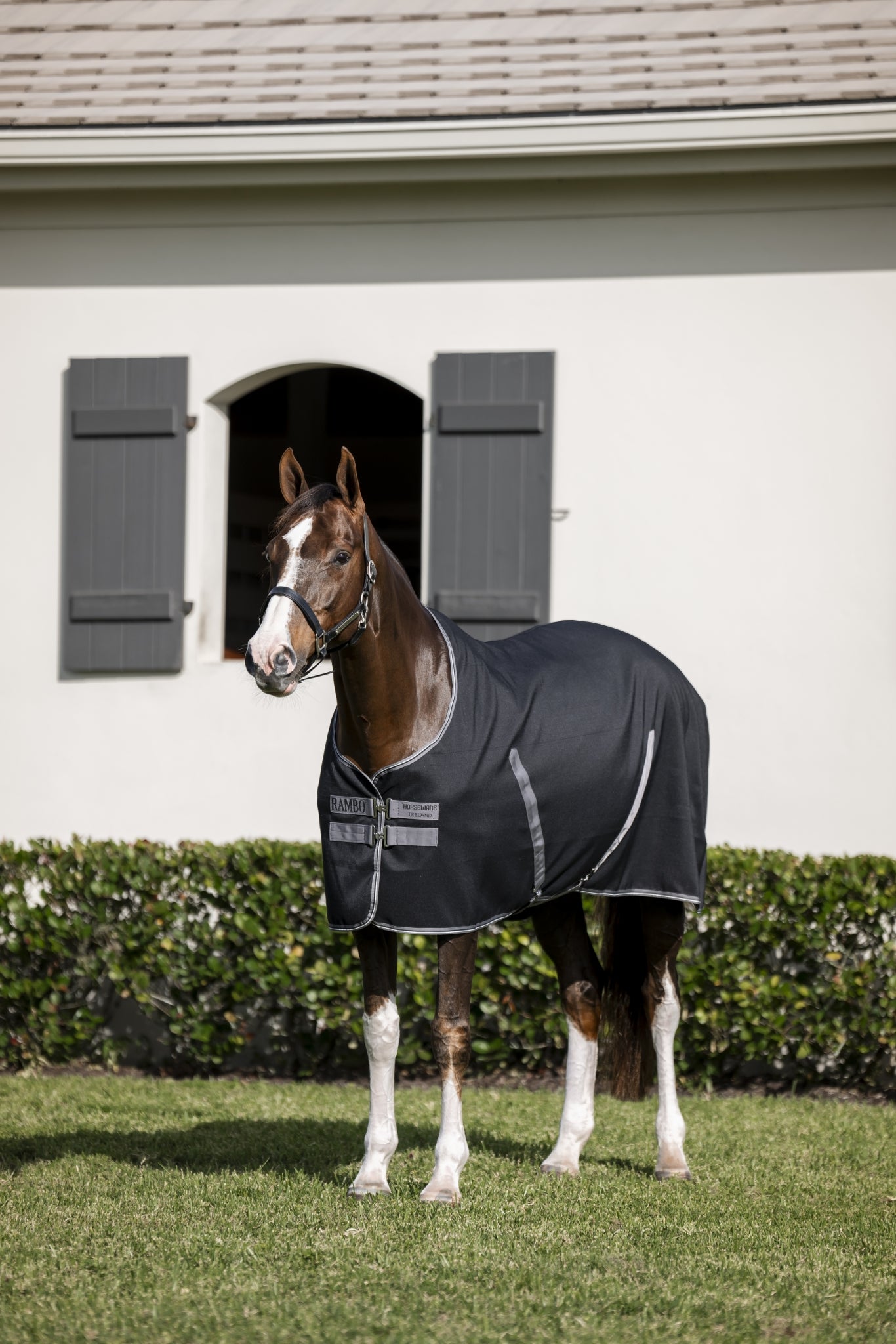 Rambo Stable Sheet with Microfiber Lining (0g Light)