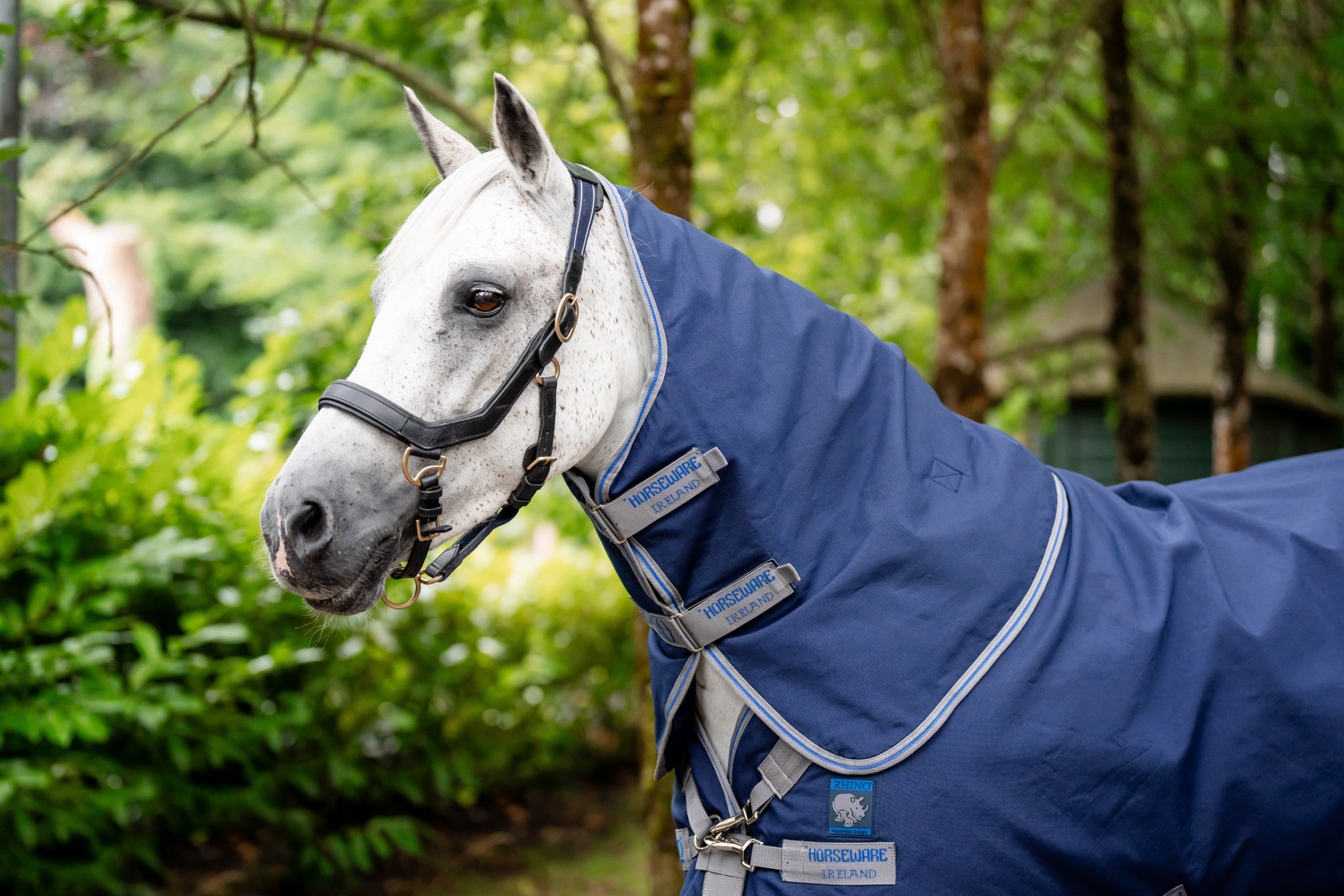 Rhino Plus Pony Turnout 100g
