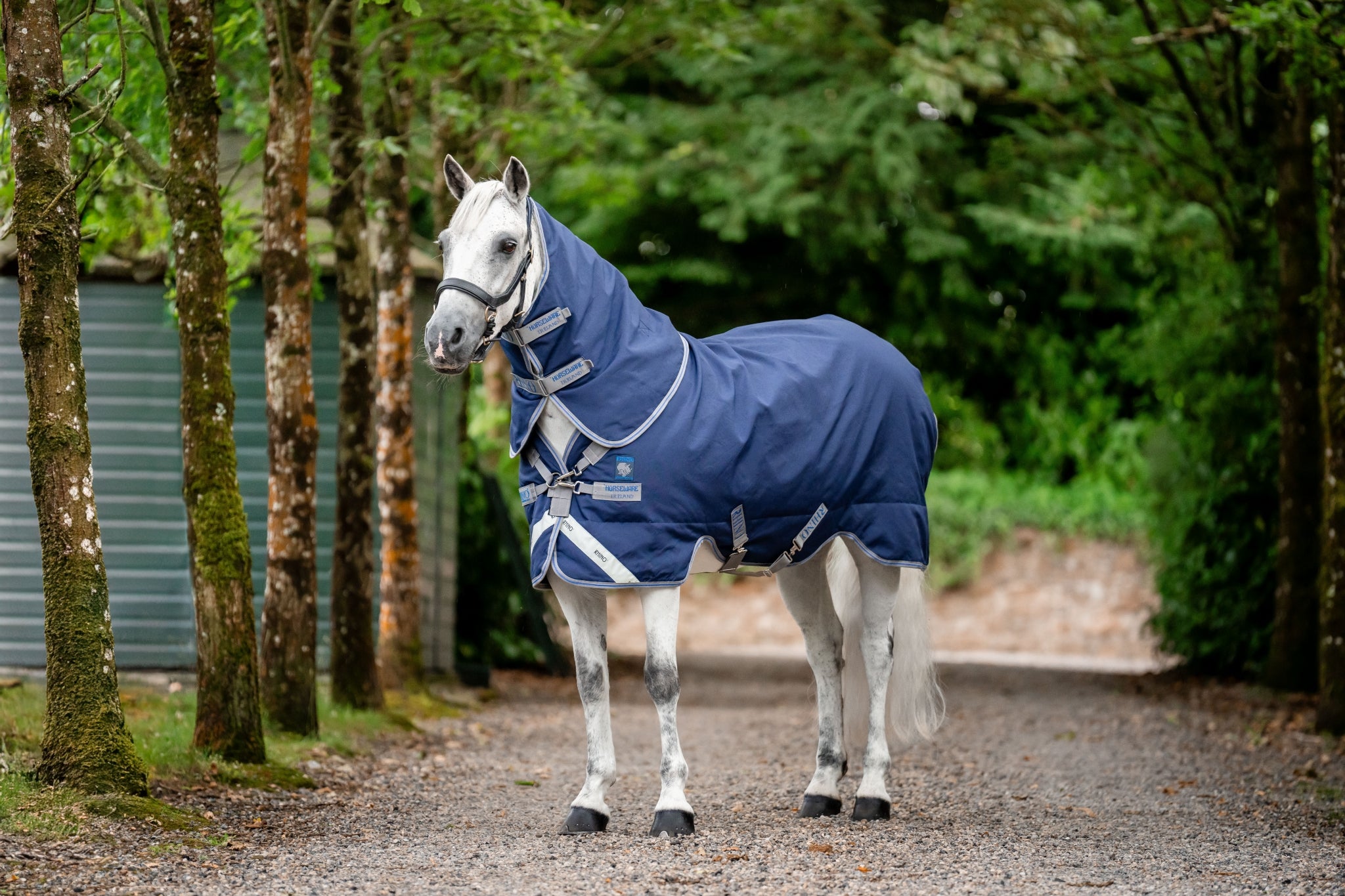 Rhino Plus Pony Turnout 100g