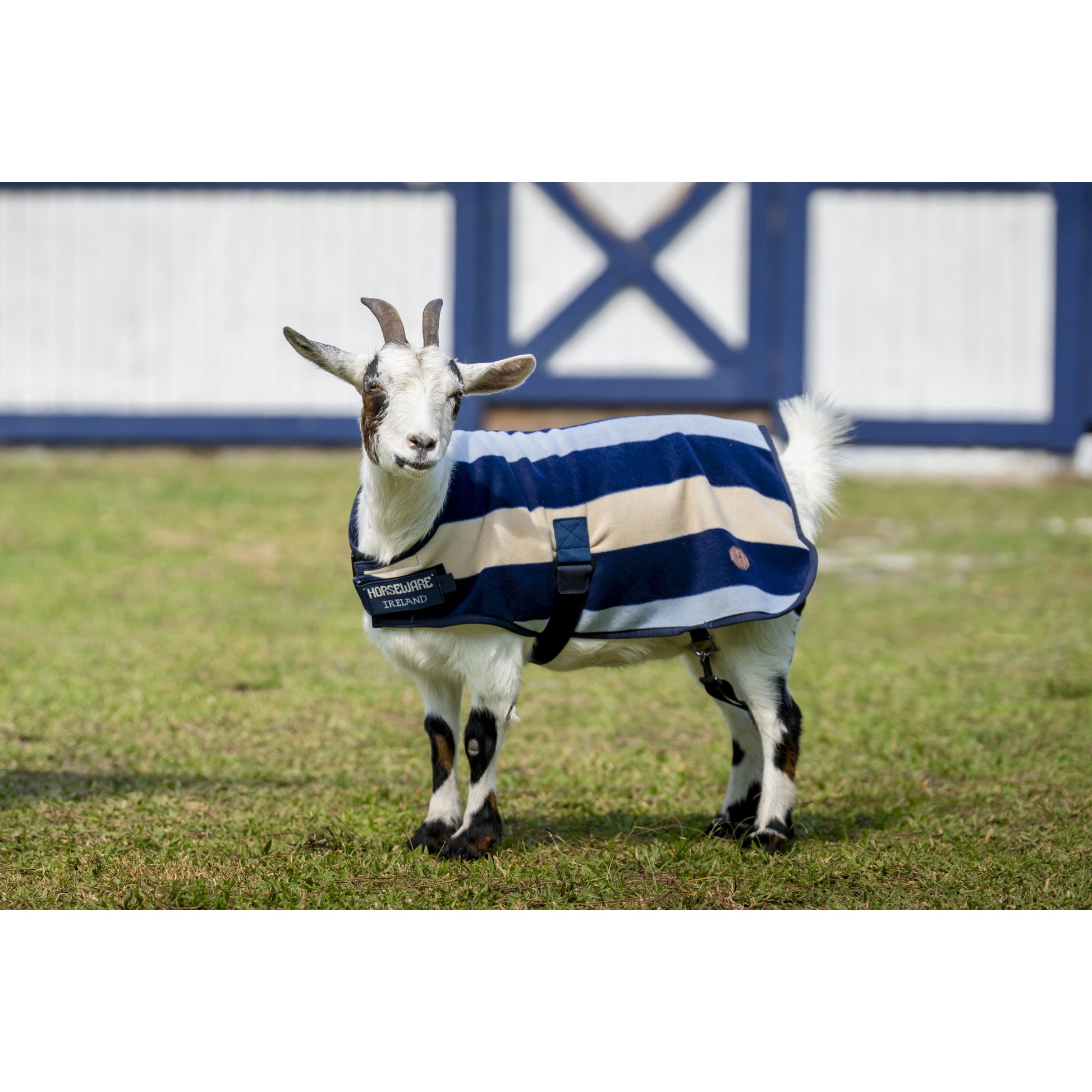 Horseware Newmarket Goat Fleece
