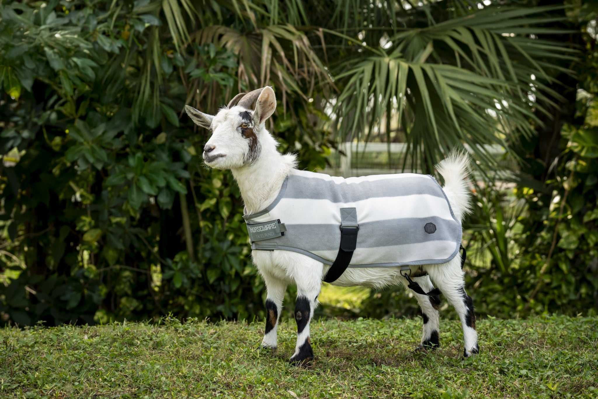 Horseware Newmarket Goat Fleece
