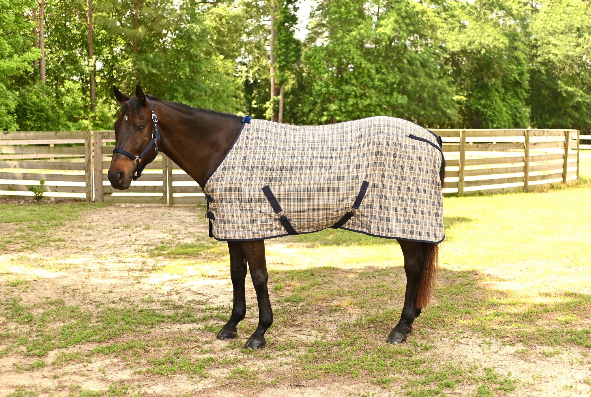 Gatsby Plaid Stable Sheet