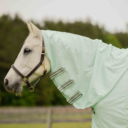 Equinavia Brisk Fly Sheet with Detachable Neck