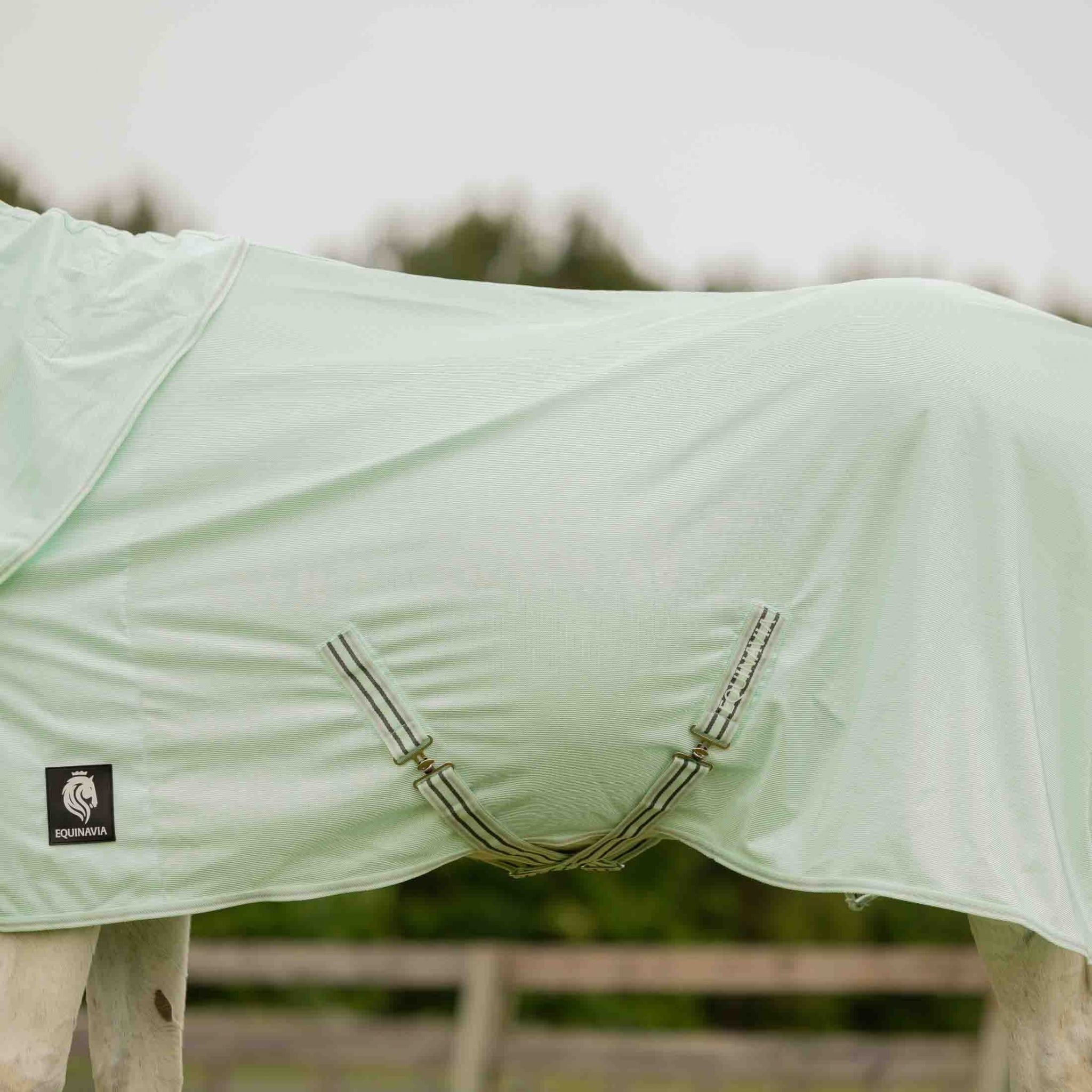 Equinavia Brisk Fly Sheet with Detachable Neck