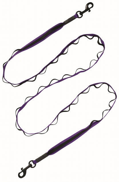 Terrain D.O.G. Venture Dual Snap Dog Leash