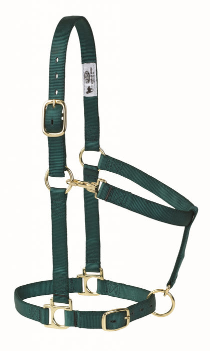 Weaver Poly Horse Halter