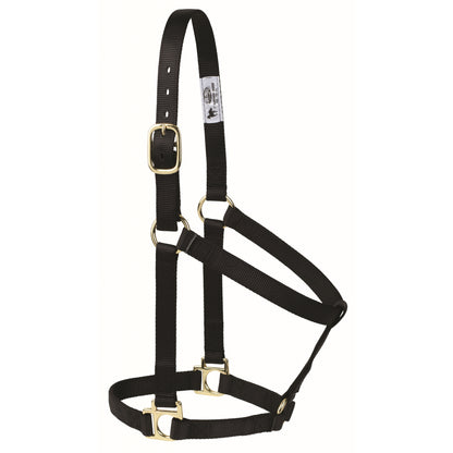 Weaver Non-Adjustable Poly Horse Halter