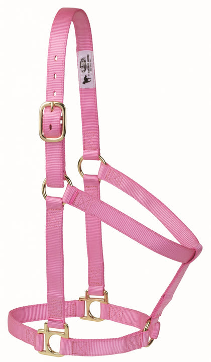 Weaver Non-Adjustable Poly Horse Halter