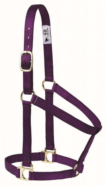 Weaver Non-Adjustable Poly Horse Halter