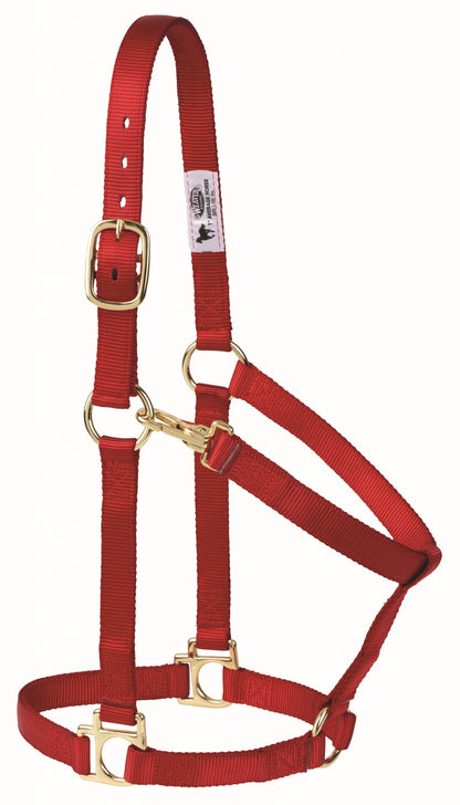 Weaver Non-Adjustable Poly Horse Halter with Throat Snap