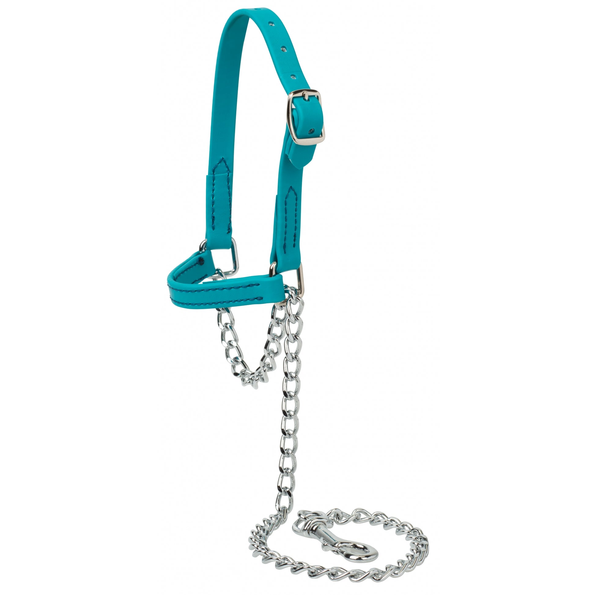 Weaver Sheep and Goat Brahma Webb Halter