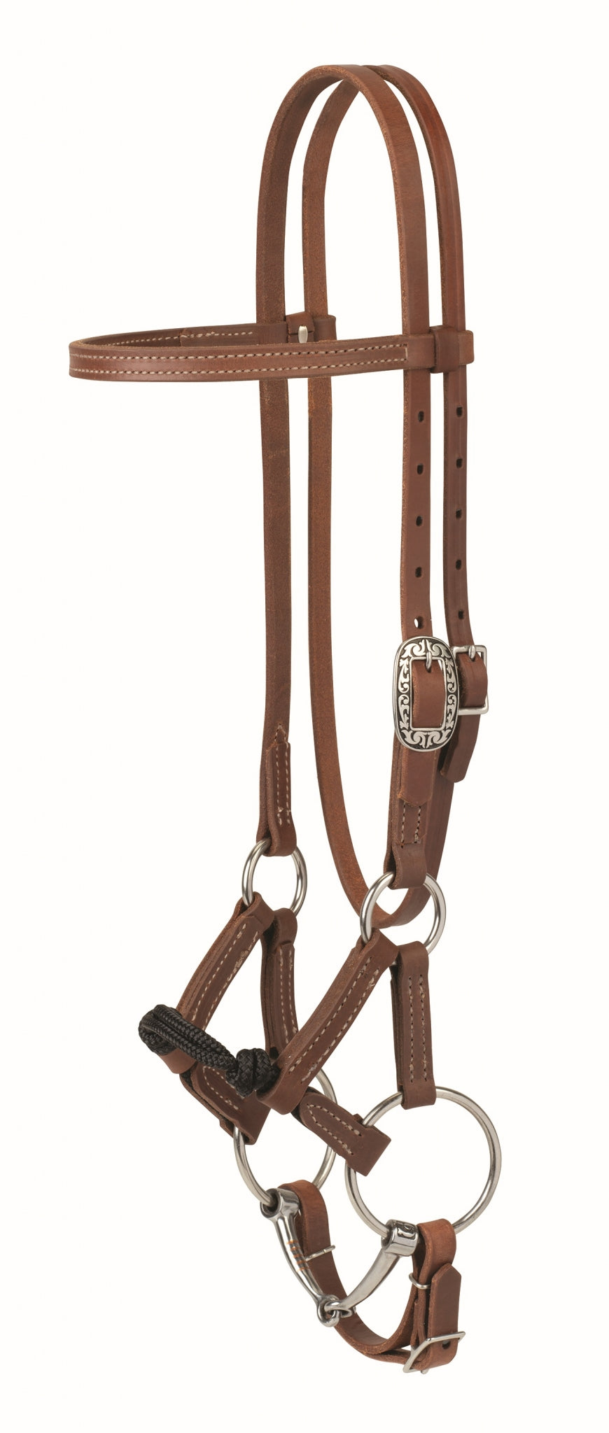 Weaver Kalley Krickeberg Horsemans Transition Bridle