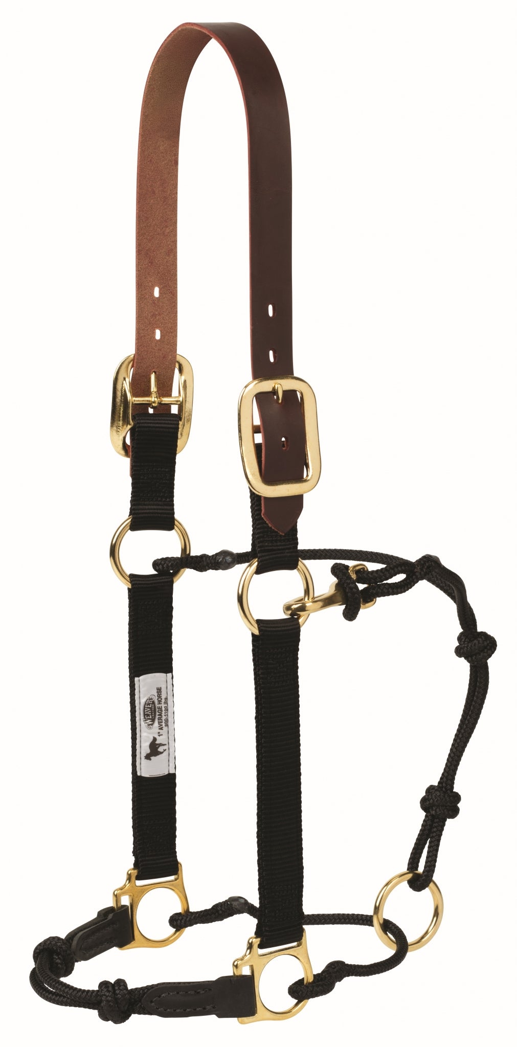 Weaver Kalley Krickeberg Breakaway Horsemans Halter