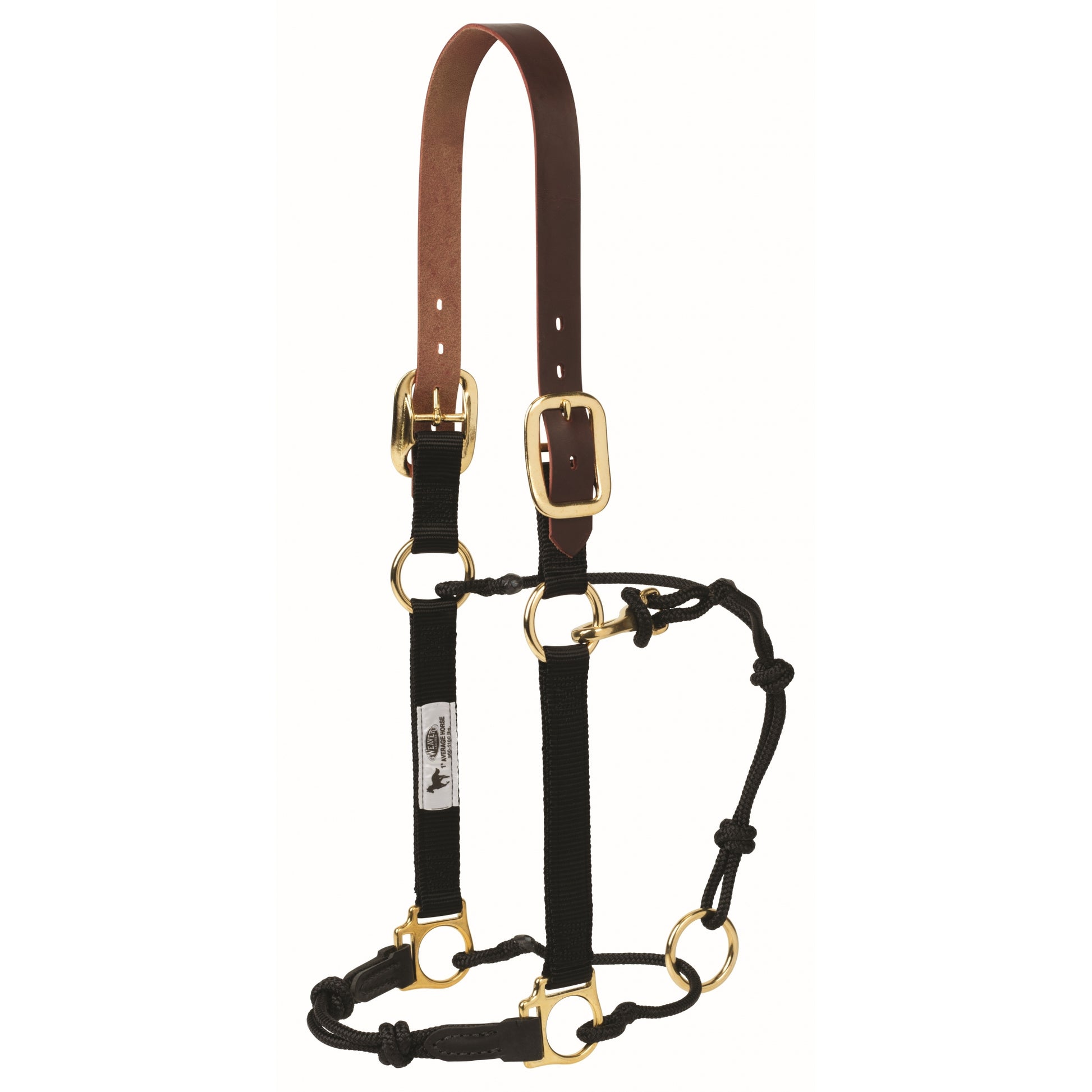 Weaver Kalley Krickeberg Breakaway Horsemans Halter