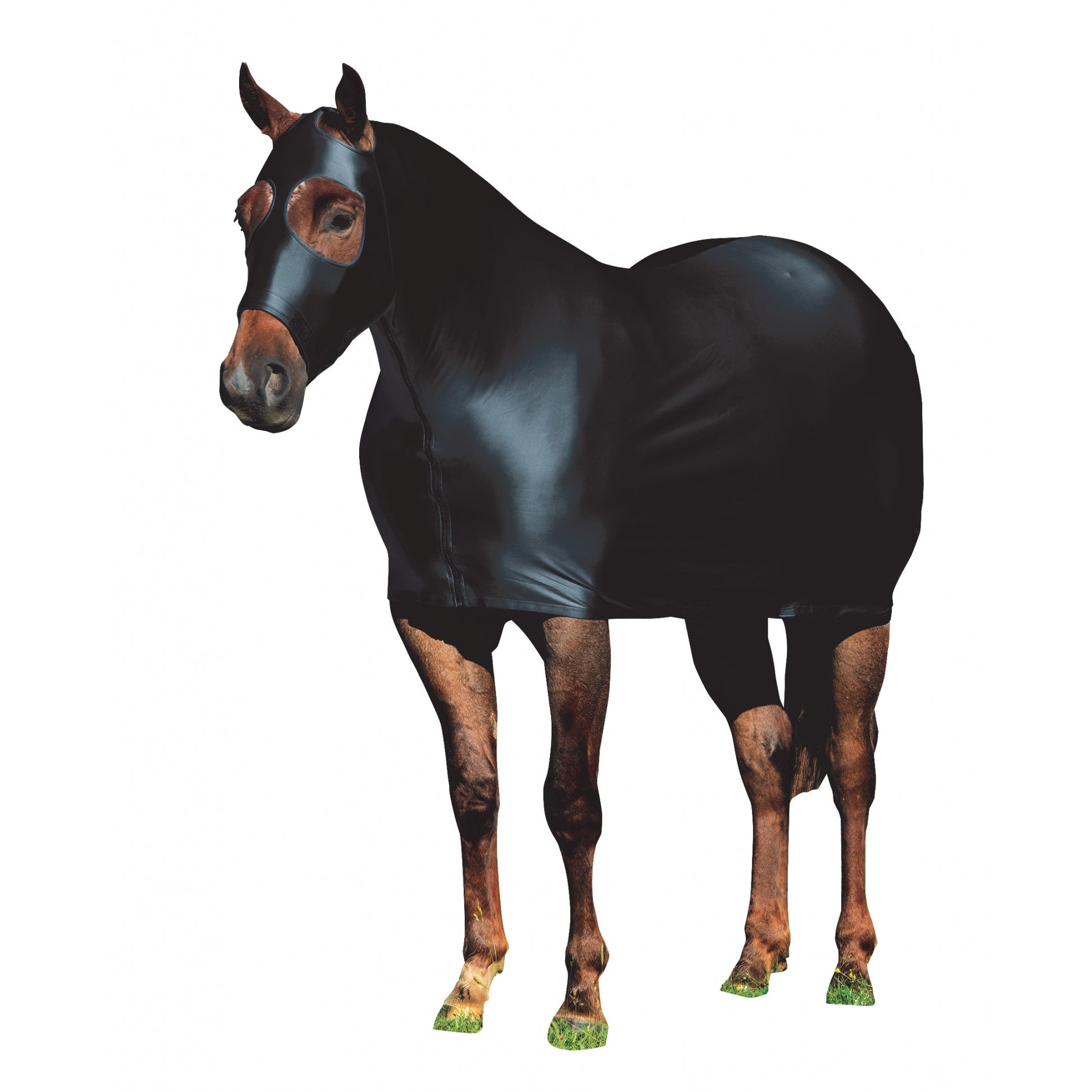 Weaver Equine Lycra Sheet Powered by Coolcore