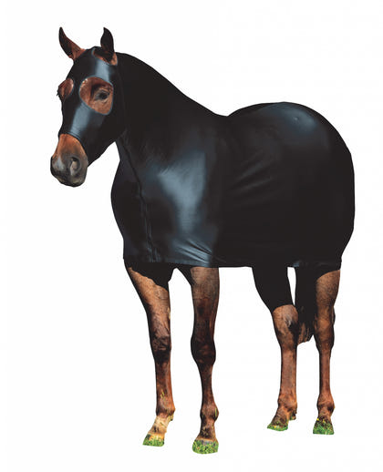 Weaver Equine Lycra Sheet Powered by Coolcore