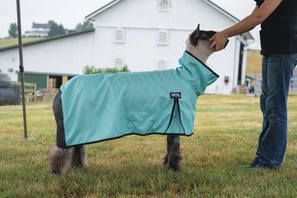 Weaver Nylon Sheep Blanket with Mesh Butt